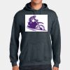 Heavy Blend Hooded Sweatshirt Thumbnail