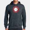 Heavy Blend Hooded Sweatshirt Thumbnail